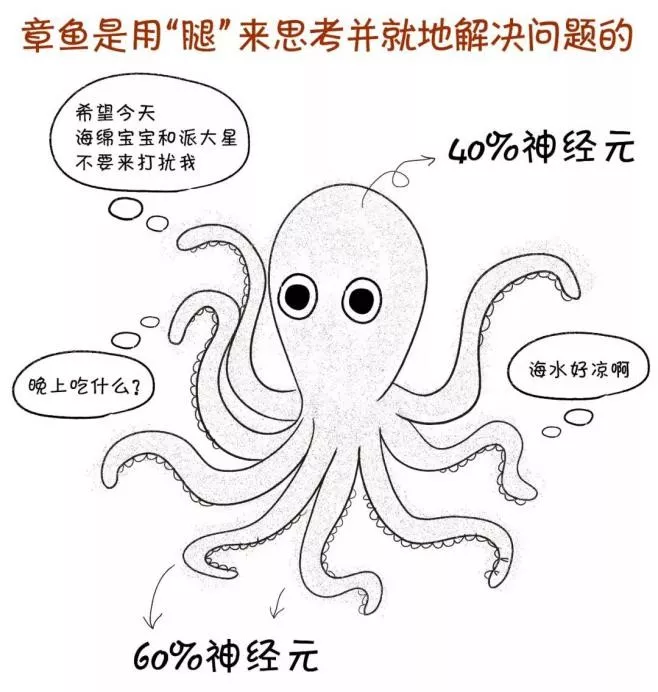 风口上的边缘计算，能推动物联网应用深度变革吗？(图1)